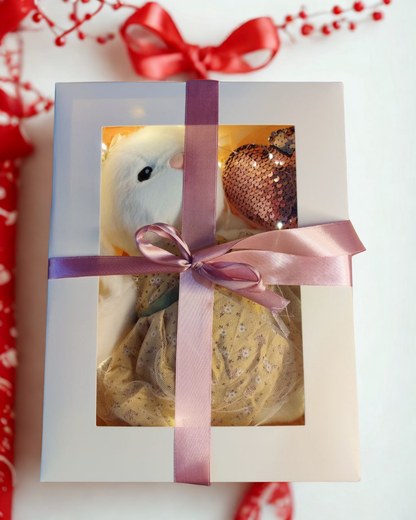 Σετ δώρου μπαλαρίνας – ένα κομψό δώρο για παιδιά